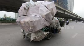 Overload tricycles carry bulky styrofoam boxes and cargo sacks