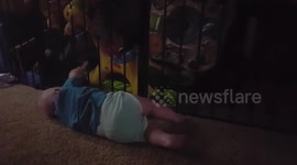 Baby rattles 'prison bars' on his playpen