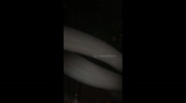 NJ flash floods