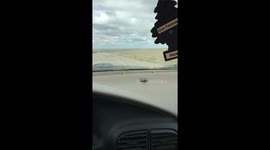 Wasps swarm from inside car door while on highway!!