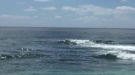 Surfing - Couch Surfing Fails WindanSea Memorial Day Weekend 2019