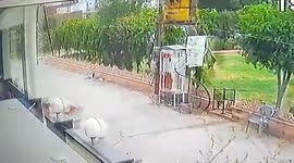 Shocking: Stray dogs attack toddler outside his residence in northern India