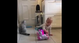 Cat surprised by toddler’s unicorn