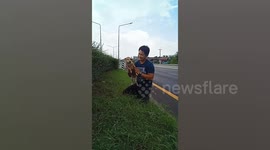 Driver rescues puppy from central reservation of a motorway in Thailand