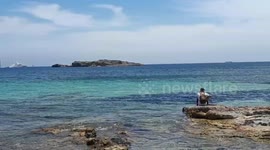 Dog swimming Ibiza Paradise