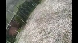 Hailstorm wreaks havoc in Pulwama villages in Jammu and Kashmir India.