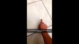Dog Ignoring Owner After Trip
