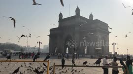 Beautiful shot of The Gateway To India with birds flying in slow motion