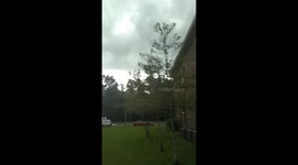 Storm June 22, 2019