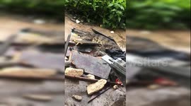 5-foot-long crocodile spotted at factory in central China after rainstorm