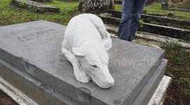 Deceased dog immortalised as marble statue on owner's grave in Malaysia