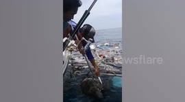 Fishermen rescue two sea turtles trapped in floating rubbish off Thailand