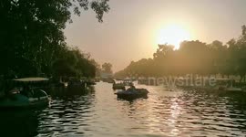 Boating in Sunset