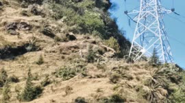 Man shows off amazing zoom on Huawei camera phone at Indian village