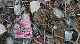 Sea of garbage: British tourist films heartbreaking swim through a Bali 'trash emergency'