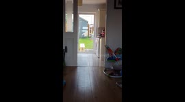 Dog reacts to who is coming