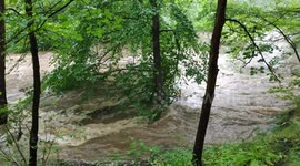River swells in Edinburgh following torrential rainstorm