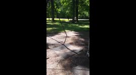 Thinking she can still swing