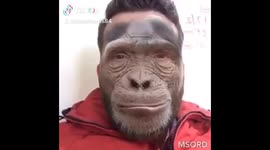 It’s about a  monkey