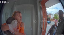 Horrific footage captures moment two dogs mauled UK family's cat to death in front of teenage girl