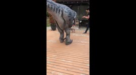 Three year old apologizes to Dinosaur
