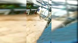 Flash flooding in Chinese town sees vehicles submerged and swept away