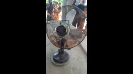 Indian resident shocked to find deadly cobra curled up inside fan in bedroom