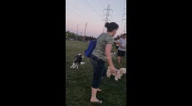 Sacramento woman drags dog out of park