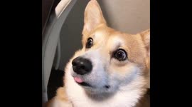 that face you make when you see mom is taking off her makeup