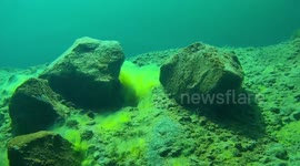 US lake explored with underwater drone shows luminous vegetation