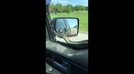Driver uses windshield wiper to get snake off moving vehicle