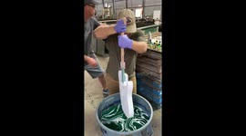'Swirling' into community action with guitar hydro dipping