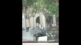Man swarmed by hungry birds in California while throwing them food