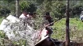 Small plane carrying US missionaries crashes near Guatemala City