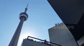 High pollen in Toronto.