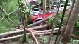 Dozens of schoolchildren injured after bus crashes down ravine on day trip