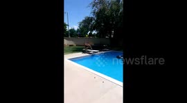 Colorado kid faceplants onto diving board while attempting front flip