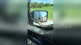 Kansas driver uses windshield wiper to get snake off moving vehicle