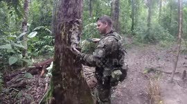 Jungle Survival! Making Jungle Pitch 'Aka Jungle Hexy'