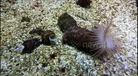 Beautiful Corul Reefs