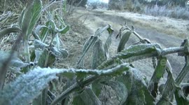 Frost covers Indonesia’s Mount Bromo as temperatures drop
