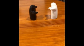 Salt and pepper love