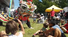 Chinese lion dancers jump off stage and