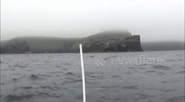 Boscastle Gig race 2019