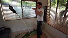 Aussie man builds reflex punching bag using two rolls of toilet paper