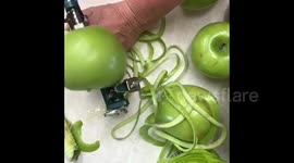Apple rhubarb pie ASMR preparation