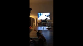 Dog-ception! Australian woman has funny encounter with her dogs watching TV