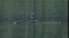 Chinese graduates play real life snake game