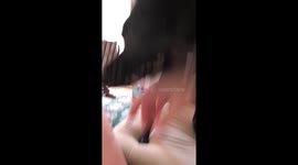 Beeper being a tough boy