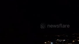 Sound of a rare night bird, calonectris borealis, in Pico Island.